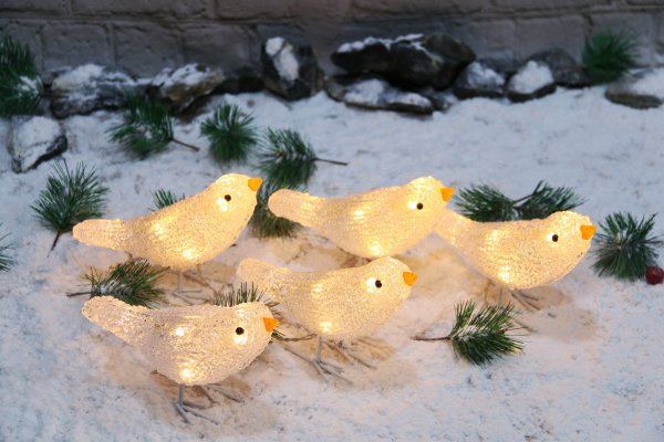 Fåglar 5-set LED komplett