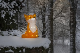 Fox acrylic 27cm LED