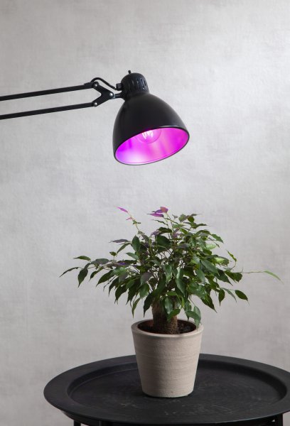 LED-lampa E27 A60 Plant Light