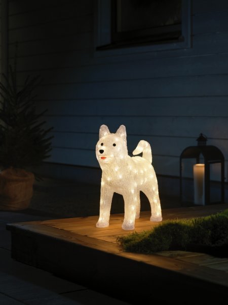 Hund akryl Husky 43cm 88 LED